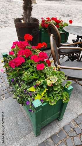 Red geranium flowers in green wooden planter at outdoor cafe terrace