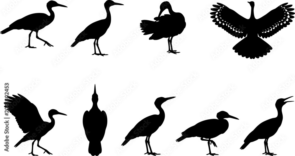 Fototapeta premium Crane and heron bird silhouette collection showing standing and flying poses in a set