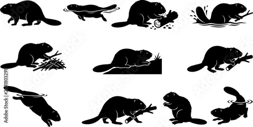 North american beaver silhouette bundle showing animals swimming and gnawing wood for environmental branding
