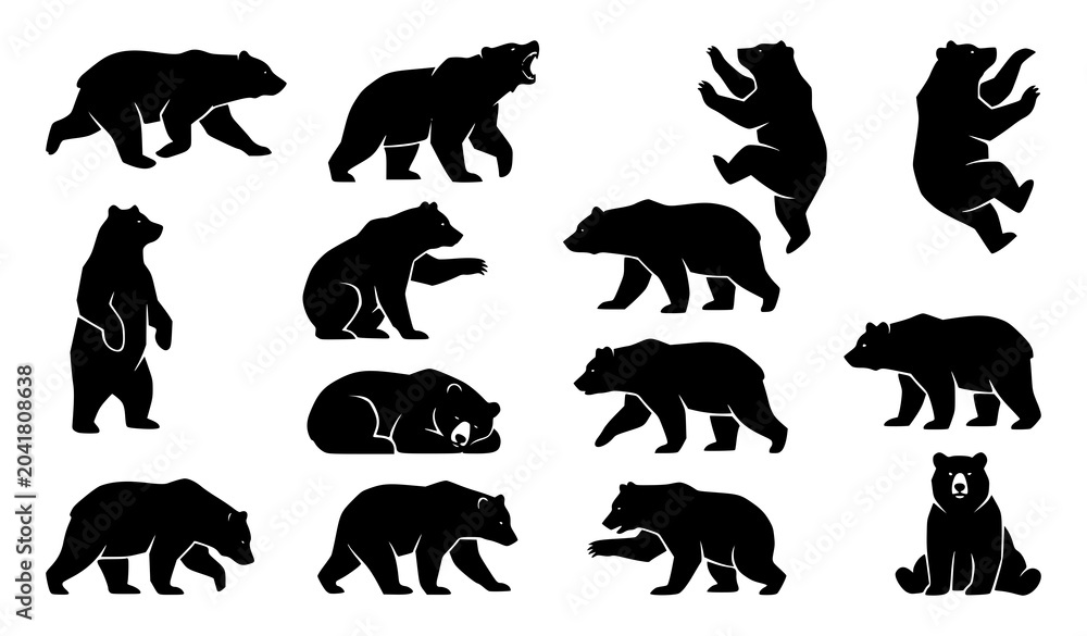 Obraz premium Bear Silhouette Wildlife Animal Vector Bundle