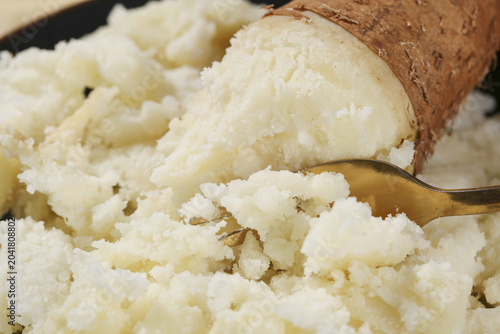 Obraz na plátně Fresh Cassava Root from Guangdong China - Sweet Starchy Vegetable Freshly Dug by