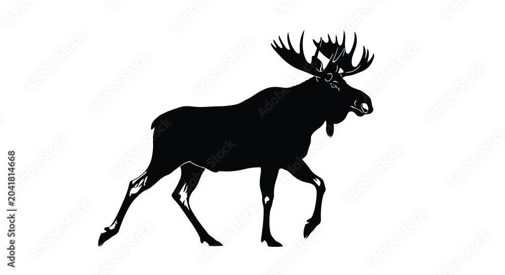 Fototapeta premium moose silhouette on white background animal deer