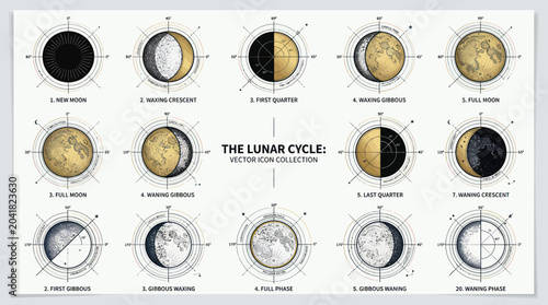 Fotografie Lunar Cycle Phases: New Moon to Full Moon Vector Icons Collection