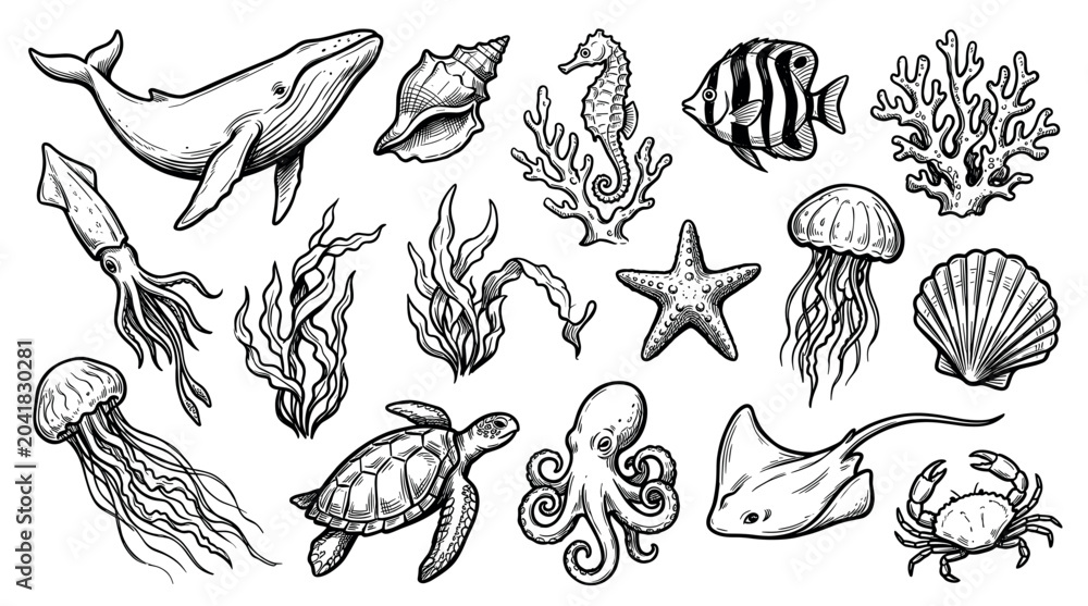 Fototapeta premium Detailed black and white ocean creatures and marine life elements are hand-drawn in a vintage sketch style on a clean white background