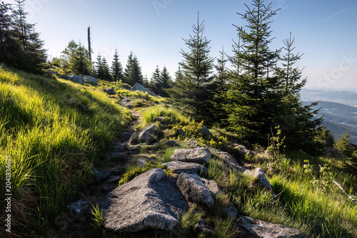 фотографія Mountain footpath winding through granite boulders, spruce forest and heathland