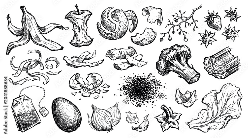 Obraz premium Various hand-drawn organic food waste items, including banana peel, apple core, and vegetable scraps, rendered in a detailed sketch style on a white background