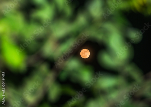 Фотография An extremely rare Blue Micromoon is visible