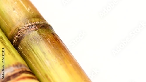 Sugar cane stalks and leaves, sugarcane sticks isolated on white background. Organic Saccharum Officinarum plant flat lay, top view, rotating