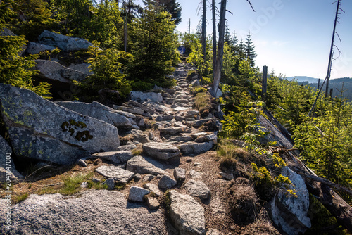 Bilde på lerret Mountain footpath winding through granite boulders, spruce forest and heathland