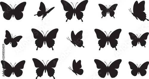 Bild auf Leinwand Collection of black butterfly silhouettes