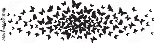 Obraz na płótnie A large group of black butterflies flying together