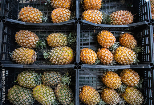 Row of Fresh Azorean Pineapples Displayed on Wooden Market Counter, Tropical Fruit Harvest from São Miguel Island
