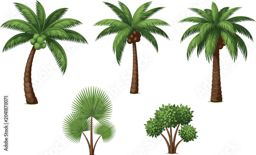 Tropical Palm Tree Vector Set Featuring Coconut Palms Fan Palms and Green Botanical Shrub Elements for Summer Beach and Nature Landscape Designs