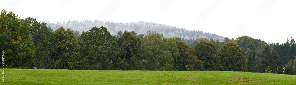Fototapeta premium landscape of dark trees and tree line with foggy forest covered hills or mountains in background. landscape with isolated sky
