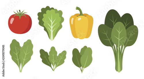 Canvas Print Freshly picked organic vegetables including tomato, lettuce, pepper, and spinach