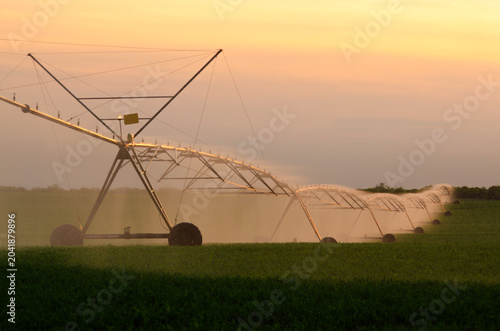 Agricultural irrigation system watering soybean field in summer