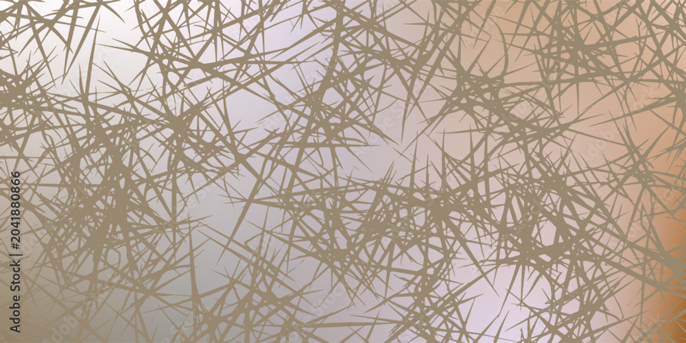 Obraz premium Close up of dry grass stems in soft light.