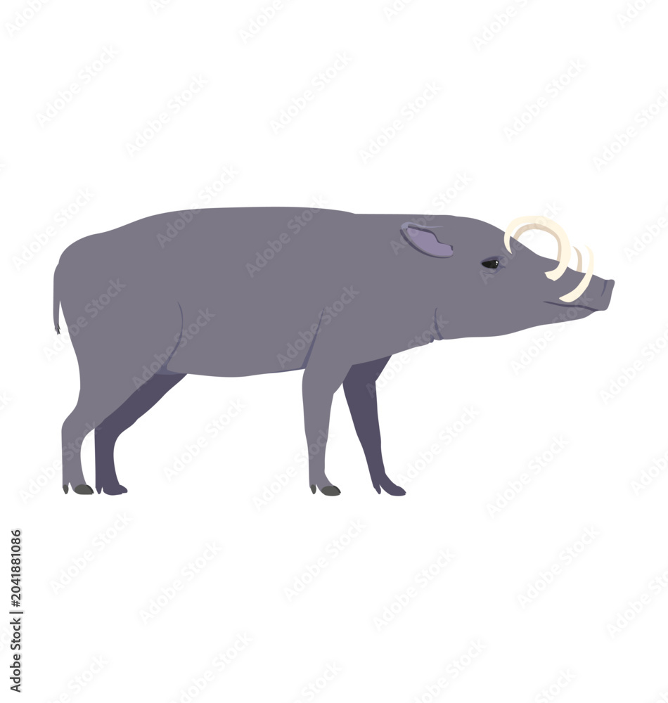 Obraz premium Adult male North sulawesi babirusa in side view flat style icon