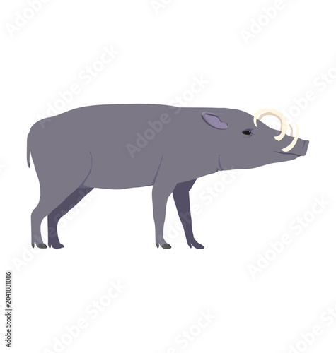 Bild auf Leinwand Adult male North sulawesi babirusa in side view flat style icon