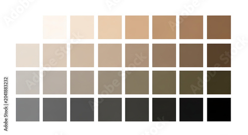 Professional color swatch grid featuring a range of neutral earthy tones and gray scale gradient professional collection abstract background