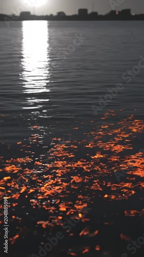 Bright Sun Reflecting on Water with Orange Floating Leaves