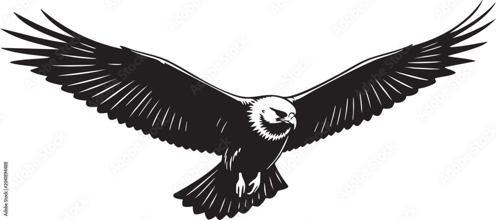 Obraz premium Black and white of a soaring bird of prey with outstretched wings raptor eagle wings spread