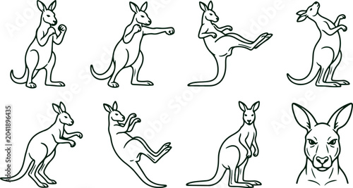 Tableau sur toile Set of kangaroo line art illustrations showing various poses and actions like fighting and jumping with joey in pouch