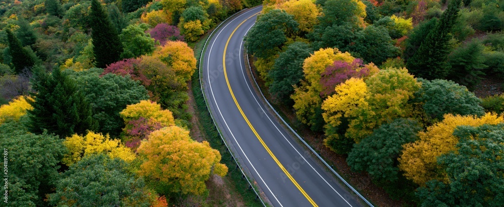 Fototapeta premium Aerial view of a winding highway surrounded by vibrant autumn trees and colorful fall foliage.