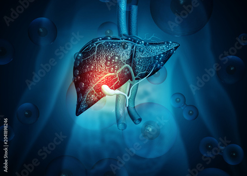 Φωτογραφία Detailed 3D medical illustration of human liver anatomy featuring the gallbladde