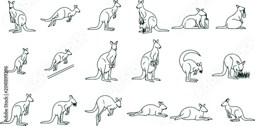 Bild auf Leinwand Collection of kangaroos in different action poses for Australian wildlife and safari themed graphic design projects