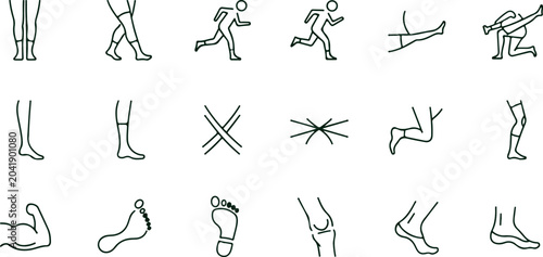 Foto Collection of human body parts, especially legs and feet, showing movement and anatomy in line art style