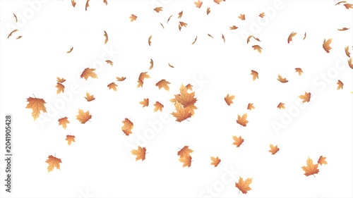 Falling autumn leaves animation. Autumn leaves fall animation. Autumn maple leaves falling on background. Autumn leaves. Motion nature scene