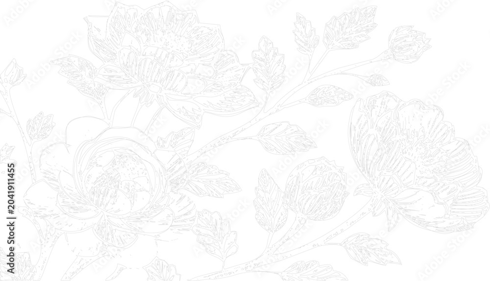 Fototapeta premium Abstract intricate line drawing of nature elements
