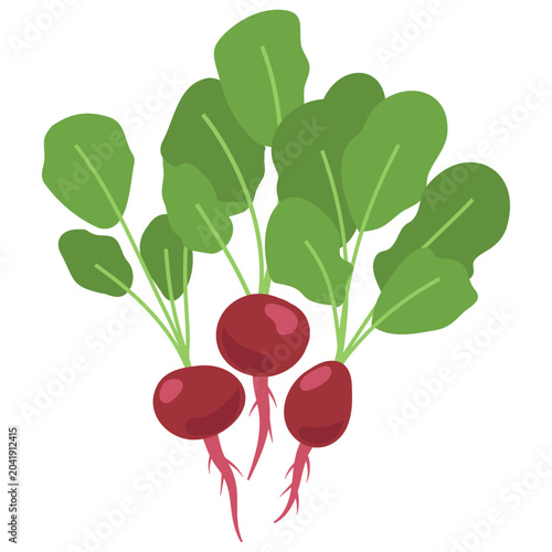 Foto Bunch of fresh red radishes with green leaves and roots, organic homegrown veget