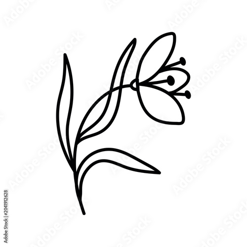 Minimalist floral line art illustration with abstract hand drawn flowers and leaves in black outline style.