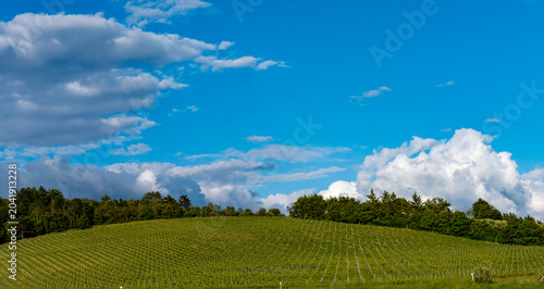 Italia, Toscana, Campagna Toscana vicino Firenze.