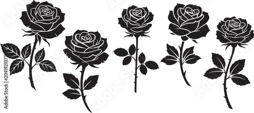 Collection of beautiful black rose flower silhouettes with stems and leaves