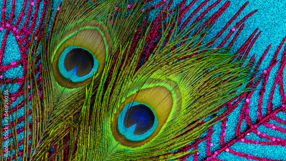 Naklejka premium Peacock feathers on a blue background with colorful plant details in bright light during daytime