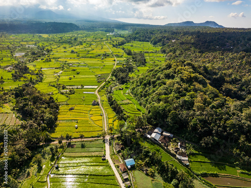 Aerial view of rice paddies and a winding road in Karangasem