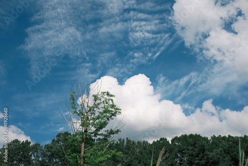 Photography clouds and sky