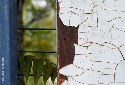 Peeling White Paint and Rusted Metal Surface with Natural Background. Close-up of a weathered metal panel covered with cracked white paint and exposed rust, framed by a blurred natural background.