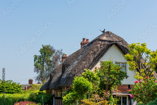 thatched roof on an old house in the village
