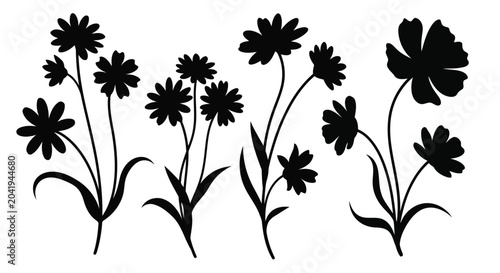 Black flowers silhouettes on white