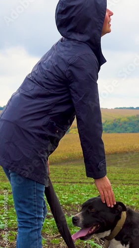A woman walks her dog in a field after a thunderstorm. Girl with staffordshire terrier in nature on a cloudy day. The concept of freedom, happiness, friendship, nature. Vertical, vertical video.