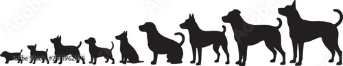 Fotografie Size comparison of different dog breeds silhouette