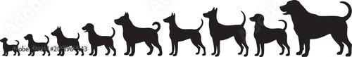 Konstfotografi Silhouette dog size comparison illustration