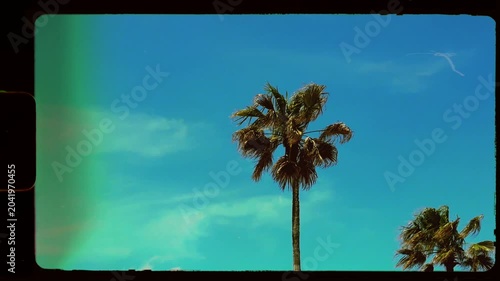 Retro vintage 8mm clip, palm tree leaves in wind on sunny day at the beach, holiday sun