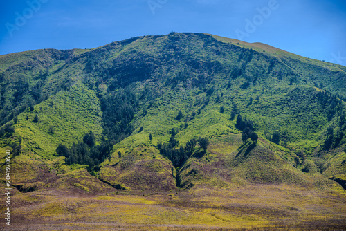 Green mountain slope in Probolinggo