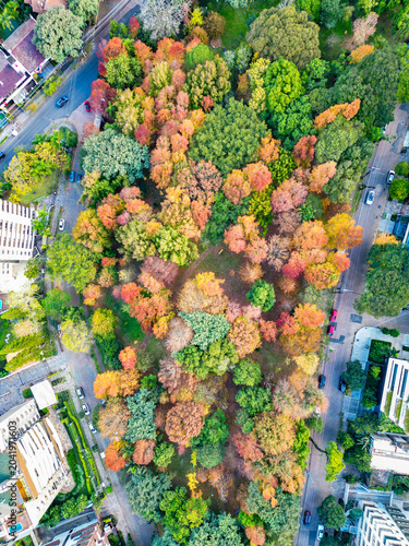 Aerial View of Praça Gustavo Langsch During Autumn in Porto Alegre