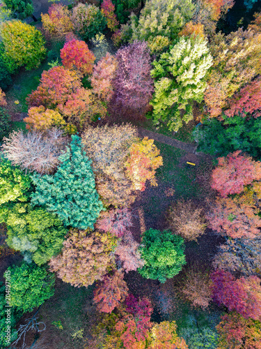 Aerial View of Praça Gustavo Langsch During Autumn in Porto Alegre